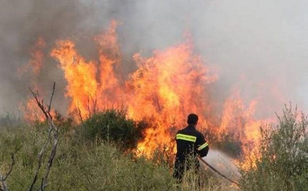 Ανεξέλεγκτη η φωτιά στον Μαραθώνα κοντά σε σπίτια – Κίνδυνος για το δάσος του Σχοινιά