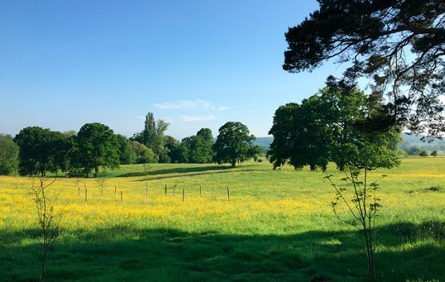 Έζησε 10 χρόνια στο δάσος για να γλιτώσει από την μουρμούρα της γυναίκας του