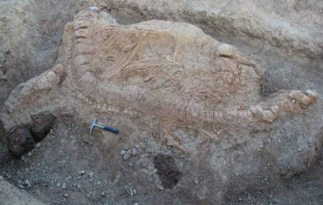 Eπιστήμονες ανακάλυψαν ιχθυόσαυρο που έζησε  πριν από 152 εκατ. χρόνια στην Ινδία