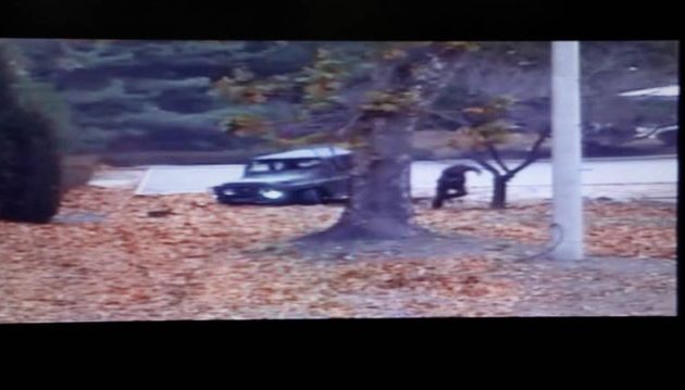 Βίντεο-σοκ με τον στρατιώτη που πυροβολείται την ώρα που αυτομολεί από τη Βόρεια Κορέα