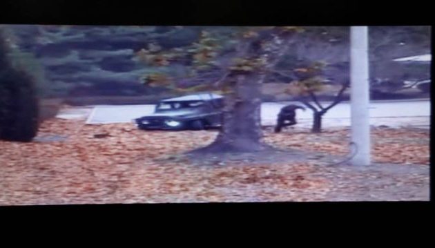 Βίντεο-σοκ με τον στρατιώτη που πυροβολείται την ώρα που αυτομολεί από τη Βόρεια Κορέα