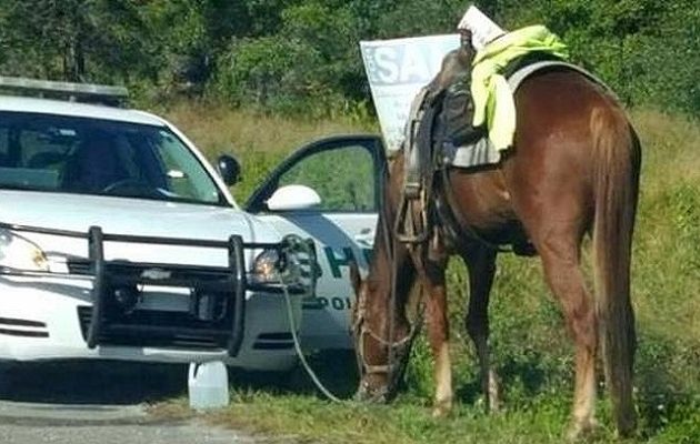 53χρονη συνελήφθη γιατί οδηγούσε τύφλα στο μεθύσι  ένα άλογο
