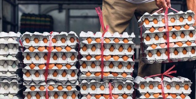 Τι λέει ο ΕΦΕΤ για τα μολυσμένα αβγά που έφθασαν στην Ελλάδα