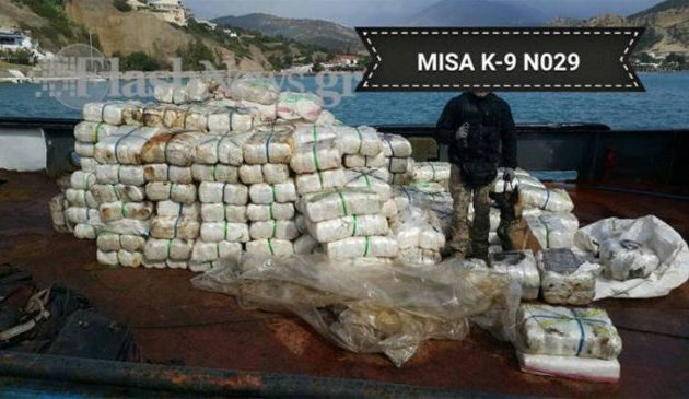 Αυτό είναι το λαγωνικό που “επιστράτευσαν” για την κοκαϊνη των 70 εκατ. ευρώ (φωτο)