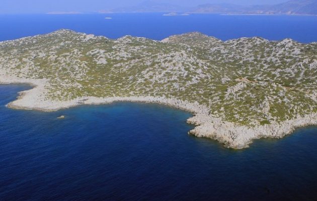 Ελληνική Ένωση  Επιχειρηματιών: Στο πλευρό αυτών που φυλάσσουν Θερμοπύλες στα ακριτικά νησιά