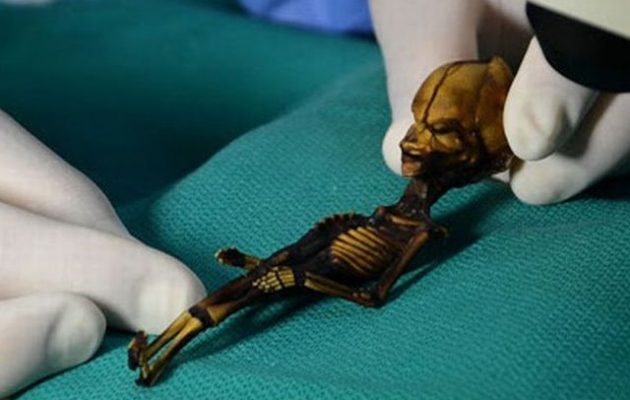 Η επιστήμη έλυσε το μυστήριο του μικροσκοπικού «εξωγήινου Άτα» – Ο σκελετός είναι αληθινός, αλλά…
