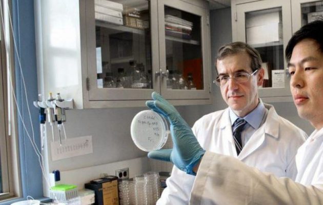 Ο γιατρός Ελευθέριος Μυλωνάκης ανακάλυψε αντιβιοτικά που καταστρέφουν το θανατηφόρο μικρόβιο MRSA