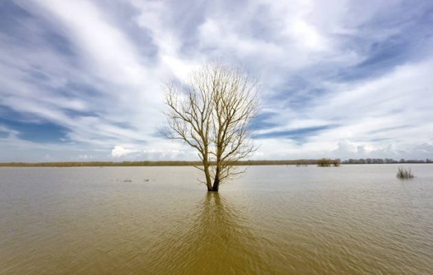 Spiegel: Έβρος, «το ποτάμι των νεκρών» – «Η σκοτεινή πλευρά της συμφωνίας ΕΕ-Toυρκίας»