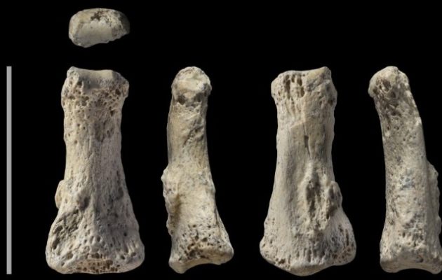 Ανακαλύφθηκε στη Σ. Αραβία απολίθωμα του Homo sapiens ηλικίας 90.000 ετών