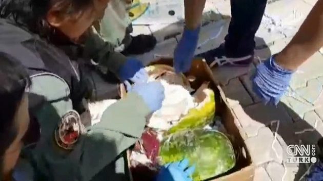 Η αστυνομία της Τουρκίας εντόπισε ηρωίνη 65 κιλών κρυμμένη σε καρπούζια (βίντεο)