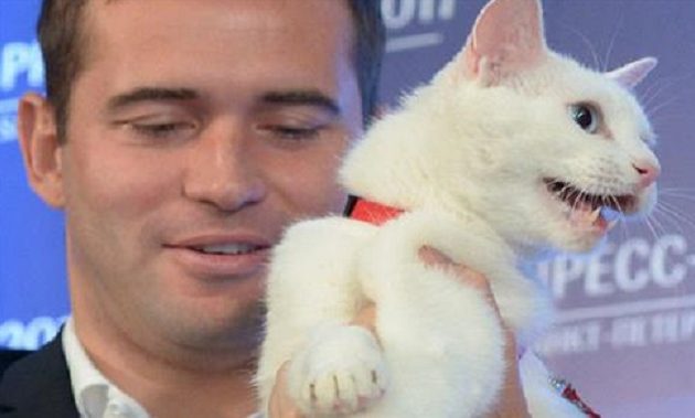 O κουφός γάτος Αχιλλέας επίσημος «μάντης» του Μουντιάλ 2018
