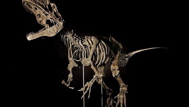 Σκελετός δεινόσαυρου 154 εκατομμυρίων ετών πουλήθηκε για 2,3 εκατ. δολάρια