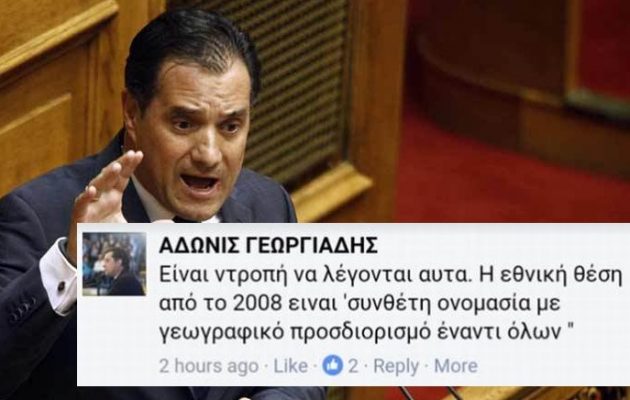 Τέλος ο Γεωργιάδης – Το 2017 έδινε τον όρο «Μακεδονία», σήμερα στη Βουλή απειλούσε (εικόνα)