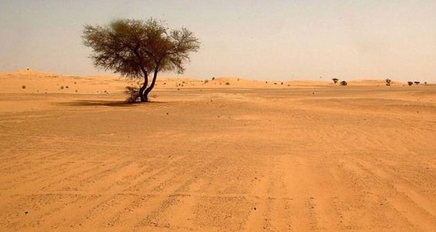 Καταγγελίες σοκ: Η Αλγερία άφησε 13.000 μετανάστες να πεθάνουν στη Σαχάρα