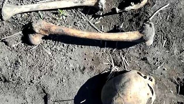 Κηπουρός βρήκε οστά του πρώην συζύγου της γυναίκας του – Tον είχε σκοτώσει με τσεκούρι