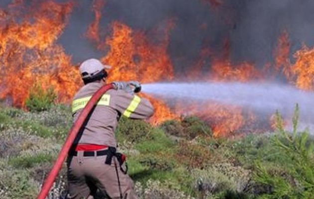 Δήμαρχος Ραφήνας: Υπάρχουν νεκροί από τη φωτιά