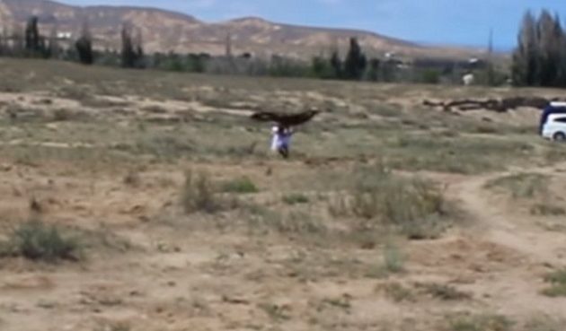 8χρονη δέχτηκε επίθεση από αετό στο Κιργιστάν (βίντεο)
