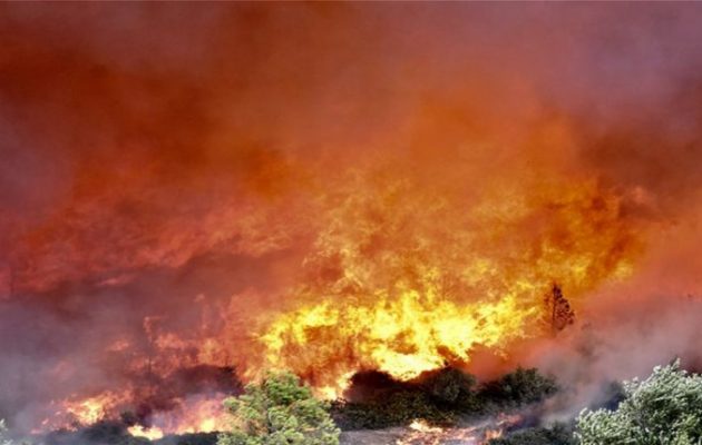 Πυρκαγιά σε δασική έκταση στο Πέραμα Αττικής κοντά σε οικισμό