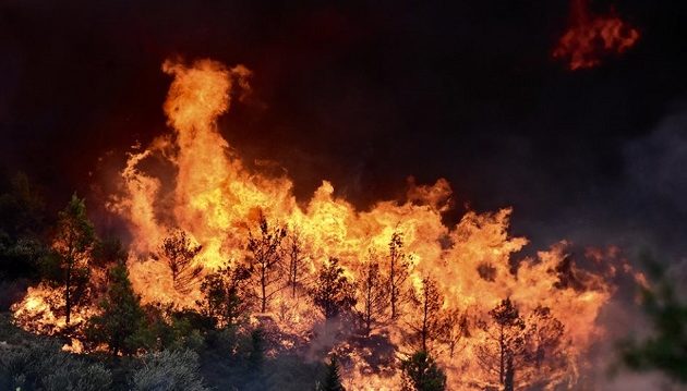 Μεγάλη φωτιά στη Κεφαλονιά –  Εκκενώνεται χωριό