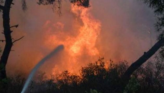 Γιατί είχαμε τόσα θύματα στο Μάτι – Τι απαντά ο καθηγητής Λέκκας