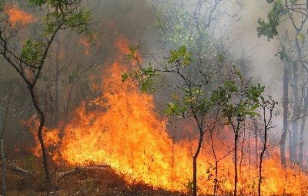 Εκκενώνονται οικισμοί και κατασκηνώσεις σε Λουτράκι και Κορινθία λόγω πυρκαγιάς