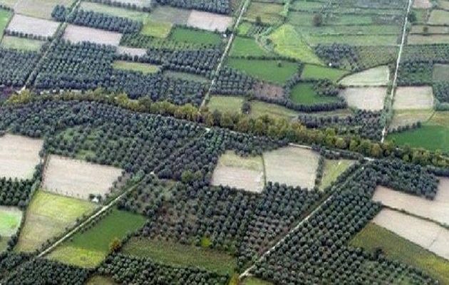 Προσοχή – Δείτε αν κινδυνεύετε να χάσετε το ακίνητο σας από το Δημόσιο