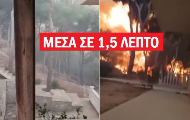 Δείτε βίντεο ντοκουμέντο μέσα από τη λαίλαπα στο Μάτι – Δείτε πώς «έτρεχε» η φωτιά
