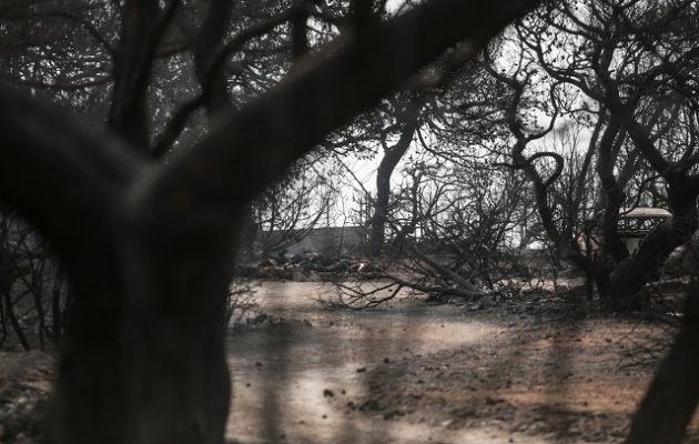 Με δημόσια δαπάνη θα τελεστούν οι κηδείες των θυμάτων των πυρκαγιών