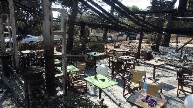 Μίχαλος: Πόσες επιχειρήσεις καταστράφηκαν από τις φωτιές – Τι πρέπει να γίνει