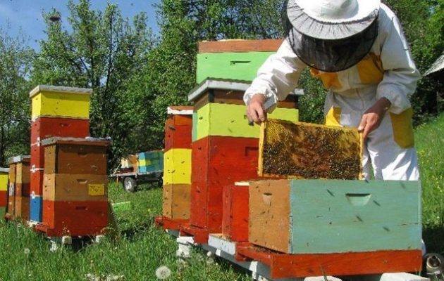 Το Ευρωπαϊκό Κοινοβούλιο προτείνει μέτρα στήριξης για τους μελισοκόμους