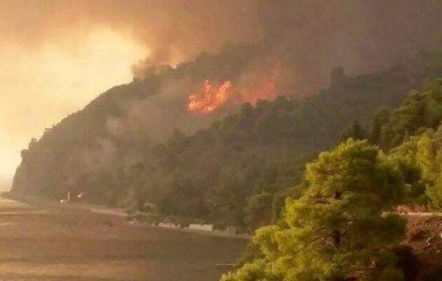 58 δασικές πυρκαγιές το τελευταίο 24ωρο στην Ελλάδα