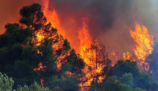 Ποιες περιοχές είναι επικίνδυνες για πυρκαγιά την Παρασκευή