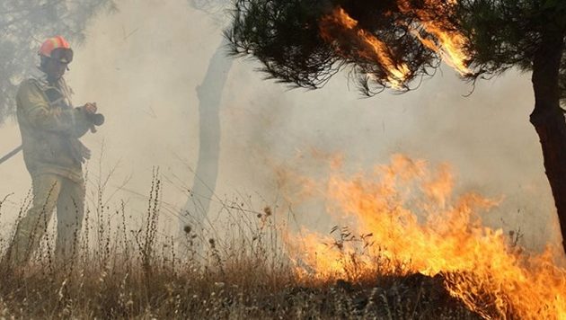 Χειροπέδες σε δύο Έλληνες για τις φωτιές στην Αμαλιάδα