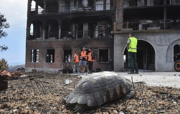 Η Βουλή καλύπτει το 50% του κόστους αγοράς γεννητριών για τo Λύρειο Ίδρυμα