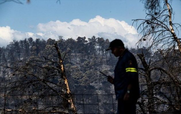 Αποστόλου: Αποζημιώσεις στους αγρότες που επλήγησαν από τις πυρκαγιές στην Εύβοια