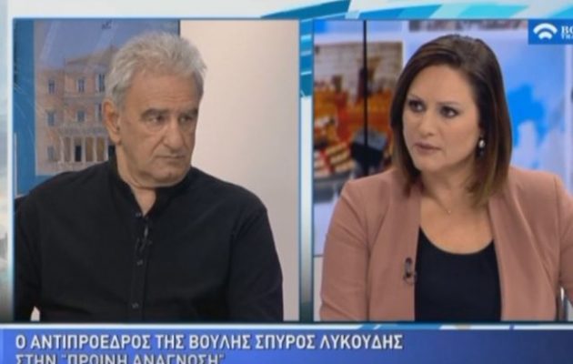 «Μπέρδεψε» την «κεντροαριστερά» με τη δημοκρατική παράταξη ο Λυκούδης