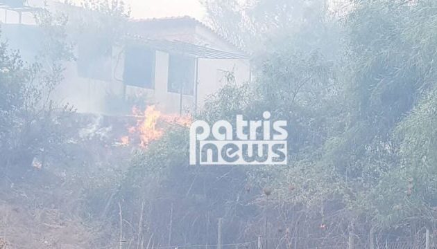 Πύρινη λαίλαπα στην Ηλεία – Πληροφορίες ότι καίγονται σπίτια (βίντεο)