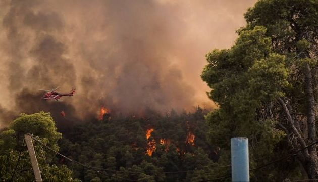 Στα 3 χλμ. το πύρινο μέτωπο που κατακαίει τη Σιθωνία – Εκκενώθηκε οικισμός (βίντεο)