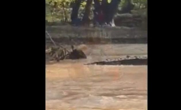 Η στιγμή της διάσωσης του 27χρονου από το χείμαρρο στην Εύβοια (βίντεο)