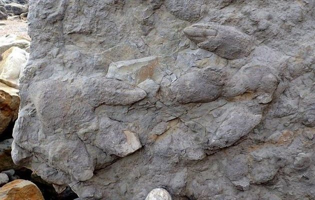 Σπάνιο: Βρήκαν «ζωντανές» πατημασιές δεινοσαύρων στην Ευρώπη
