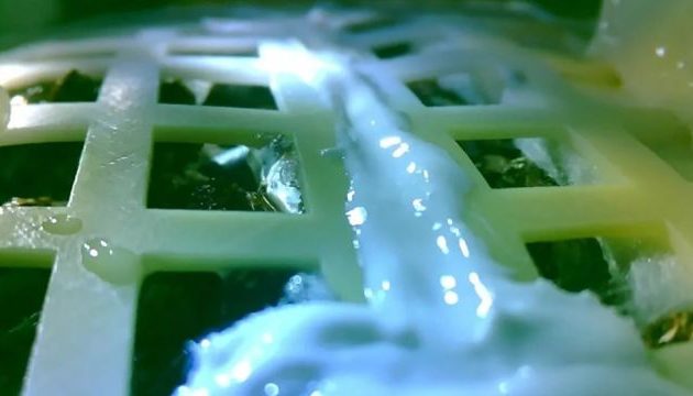 Δεν τα κατάφεραν τα κινεζικά φυτά στη Σελήνη μόλις έπεσε το βράδυ των -170 βαθμών Κελσίου