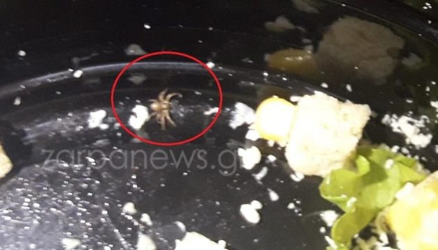 Βρέθηκε αράχνη μέσα σε σαλάτα σε σουβλατζίδικο στην Κρήτη