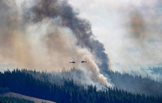 Κίνδυνος να καίει για εβδομάδες η πρωτοφανής δασική πυρκαγιά στη Νέα Ζηλανδία