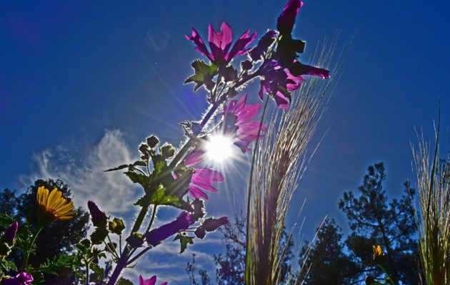 Τι καιρό θα κάνει το τριήμερο – Στους 25 βαθμούς το θερμόμετρο την Καθαρά Δευτέρα