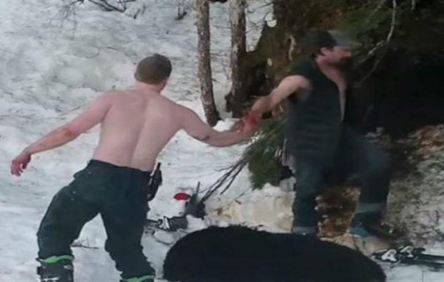 Σοκ: Πατέρας και γιος σκότωσαν αρκούδα και αρκουδάκια σε χειμερία νάρκη (βίντεο)