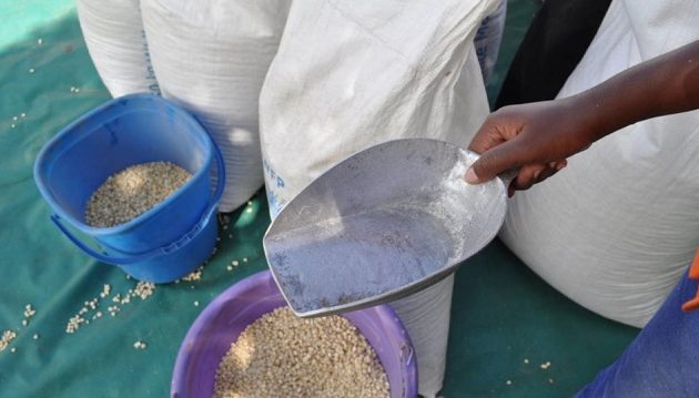 Δύο νεκροί στην Ουγκάντα από δημητριακά που χορήγησε ο ΟΗΕ
