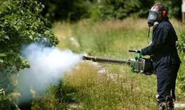 Η Περιφέρεια Αττικής ξεκινά τους ψεκασμούς κουνουπιών την επομένη της Καθαράς Δευτέρας