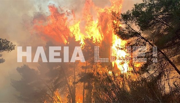 Μαίνεται ανεξέλεγκτη η μεγάλη φωτιά στο δάσος της Στροφυλιάς στην Ηλεία