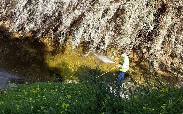 Σε πλήρη εξέλιξη το πρόγραμμα καταπολέμησης κουνουπιών στη Νότια Αθήνα