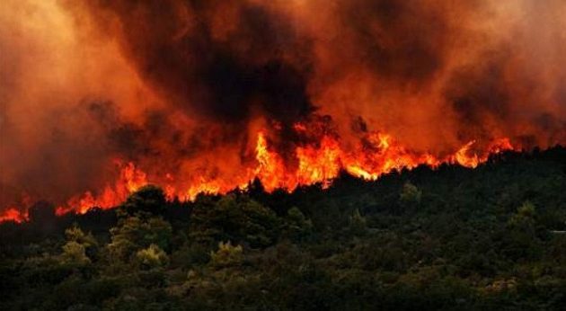 Εξήντα τρεις πυρκαγιές το τελευταίο 24ωρο σε όλη την Ελλάδα